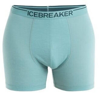 Icebreaker Anatomica Boxers (103029) cloud ray