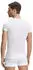 Falke Men Functional Underwear Ultralight Cool (33771) white