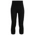 Icebreaker Merino Fastray High Rise Tights Hose (Damen)