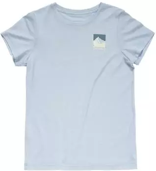 Devold Classic Summit Tee (GO 180 290 J) dawn/grau