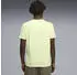 Puma TAD Essentials Funktionsshirt kurzarm apple spritz heather (Herren) (525920-38)