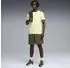 Puma TAD Essentials Funktionsshirt kurzarm apple spritz heather (Herren) (525920-38)