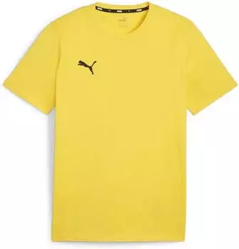 Puma teamGOAL Trikot