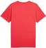 Puma TAD Essentials Funktionsshirt kurzarm ultra red heather (Herren) (525920-98)