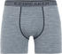 Icebreaker Anatomica Boxers (103029)