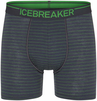 Icebreaker Anatomica Boxers (103029) panther