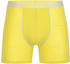 Icebreaker Anatomica Boxers (103029)
