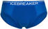 Icebreaker Anatomica Briefs (103031)
