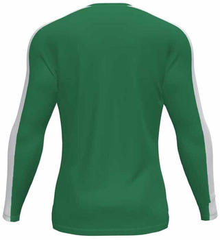 Joma Academy Long Sleeve T-shirt (101658452) green