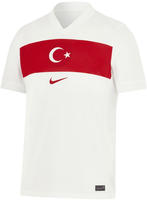 Nike FV1743_100, Nike T&uuml;rkei 2024/25 Stadium Heim Dri-Fit Replica Herren