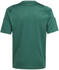 Adidas Tiro 24 Trikot Dunkelgrün Weiss