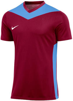 Nike Park Derby IV Trikot Kids Rot Blau F677