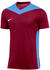 Nike Park Derby IV Trikot Kids