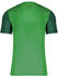 Nike Trophy V Trikot Grün F302
