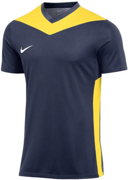 Nike Park Derby IV Trikot Blau Gelb F410