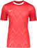 Nike Challenge V Trikot Rot Weiss F657
