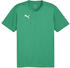 Puma teamFINAL Trikot