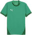 Puma teamFINAL Trikot