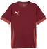 Puma teamGOAL Matchday Trikot
