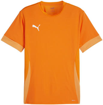 Puma teamGOAL Matchday Trikot Orange Weiss F08