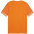 Puma teamGOAL Matchday Trikot Orange Weiss F08