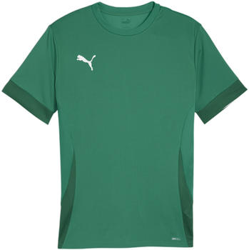 Puma teamGOAL Matchday Trikot Grün Weiss F05