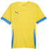 Puma teamGOAL Matchday Trikot