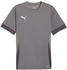 Grau Weiss F13