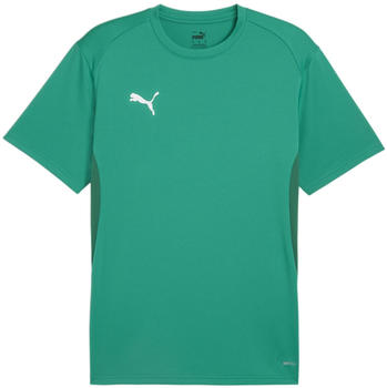 Puma teamGOAL Trikot Gr&uuml;n F05