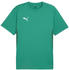 Puma teamGOAL Trikot