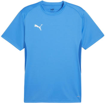 Puma teamGOAL Trikot Blau F02