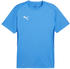 Puma teamGOAL Trikot