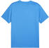 Puma teamGOAL Trikot
