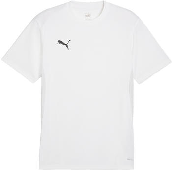 Puma teamGOAL Trikot Weiss F04