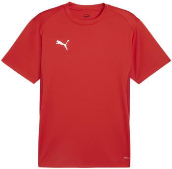 Puma teamGOAL Trikot Rot F01