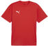 Puma teamGOAL Trikot