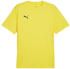 Puma teamGOAL Trikot