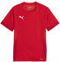 Puma teamGOAL Matchday Trikot Kids Rot Weiss F01