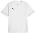 Puma teamGOAL Matchday Trikot Kids