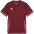 Puma teamGOAL Matchday Trikot Kids
