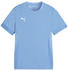 Puma teamGOAL Matchday Trikot Kids