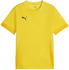 Puma teamGOAL Matchday Trikot Kids