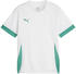 Puma teamGOAL Matchday Trikot Kids