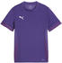 Puma teamGOAL Matchday Trikot Kids