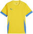 Puma teamGOAL Matchday Trikot Kids