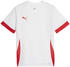 Puma teamGOAL Matchday Trikot Kids