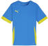 Puma teamGOAL Matchday Trikot Kids