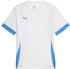 Puma teamGOAL Matchday Trikot Kids
