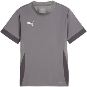 Puma teamGOAL Matchday Trikot Kids Grau Weiss F13