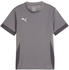 Puma teamGOAL Matchday Trikot Kids Grau Weiss F13